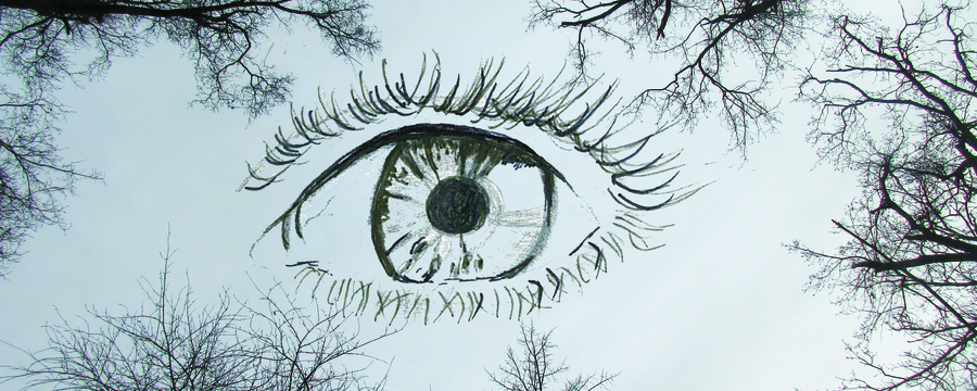 L'oeil (pas parfait)