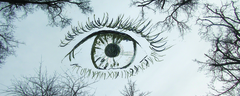 L'oeil (pas parfait)