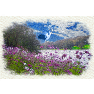 Le héron.  Une célébration de la nature comme source de paix et de transcendance. 
