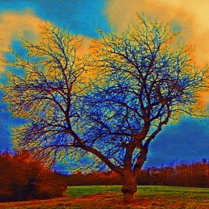 Arbre magique