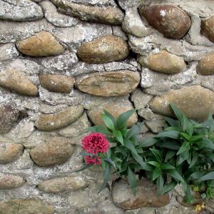 La vie partout